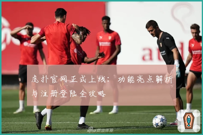 虎扑官网正式上线：功能亮点解析与注册登陆全攻略