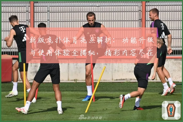 新版虎扑体育亮点解析：功能升级与使用体验全揭秘，精彩内容尽在掌握