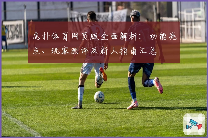 虎扑体育网页版全面解析：功能亮点、玩家测评及新人指南汇总