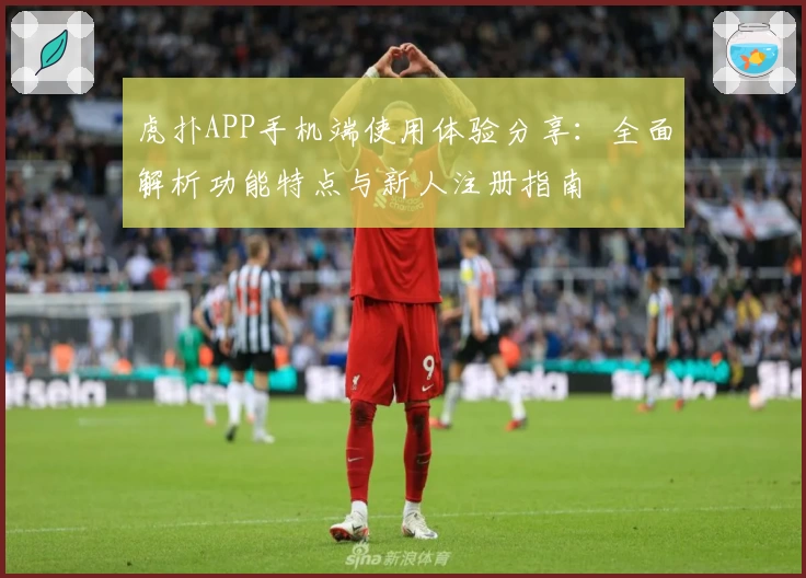 虎扑APP手机端使用体验分享：全面解析功能特点与新人注册指南
