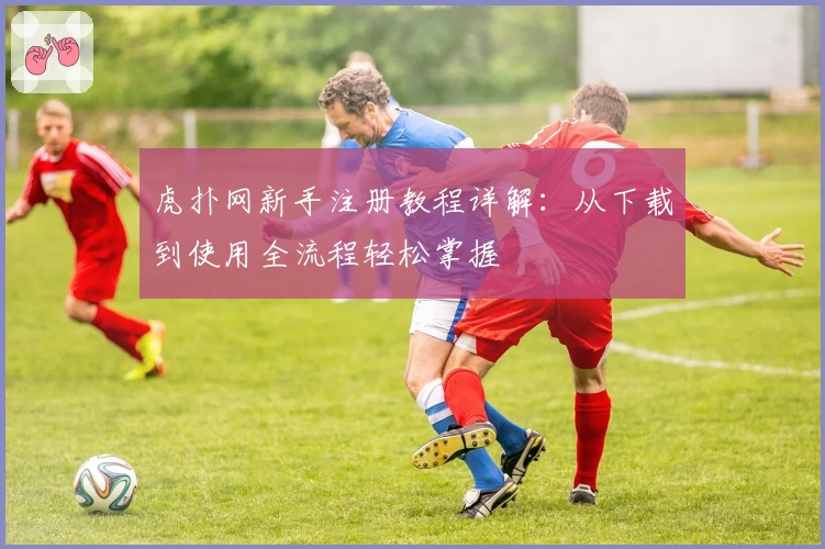 虎扑网新手注册教程详解：从下载到使用全流程轻松掌握